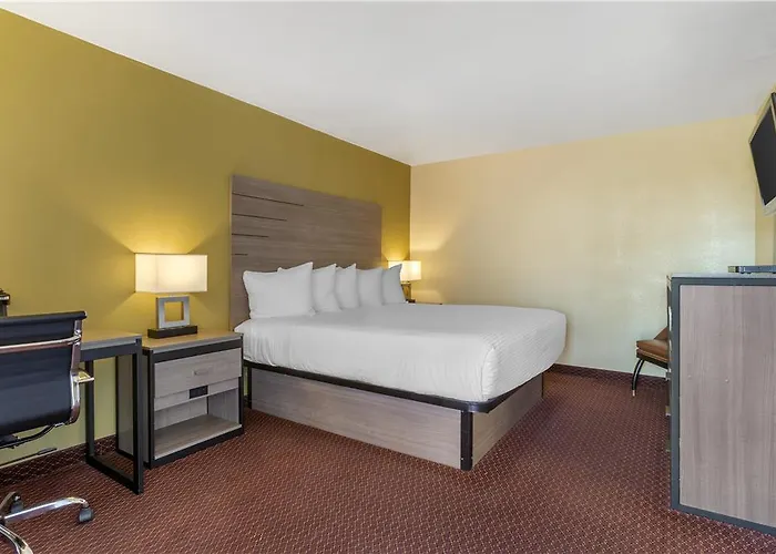 Surestay By Western Petrified Forest Hotel Chambers